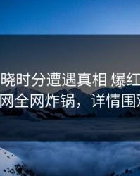 大V在拂晓时分遭遇真相 爆红网络，91网全网炸锅，详情围观