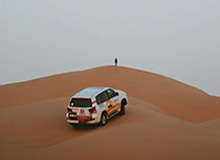 歪歪鱼，歪歪鱼渔饵史使用方法