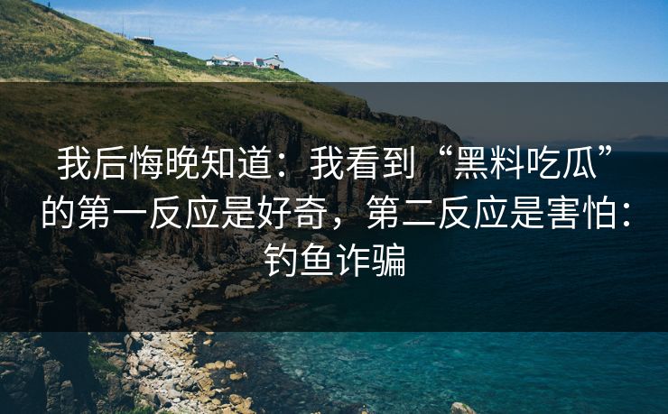我后悔晚知道：我看到“黑料吃瓜”的第一反应是好奇，第二反应是害怕：钓鱼诈骗