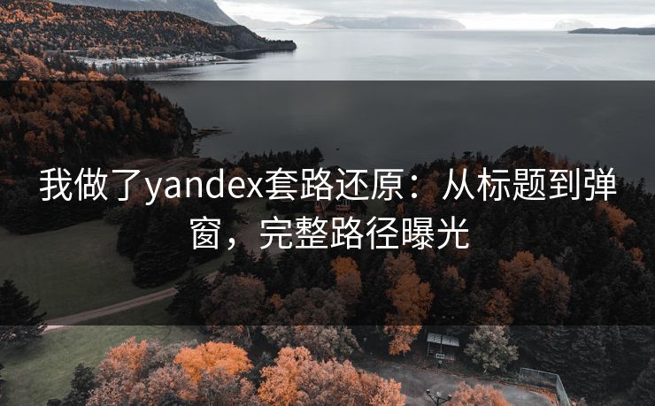 我做了yandex套路还原:从标题到弹窗,完整路径曝光 我做了yandex套路还原:从标题到弹窗,完整路径曝光